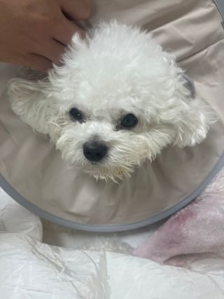 린짱님이 올린 리뷰 사진 3