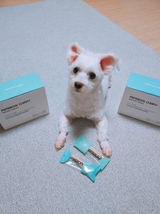 페페로니 2종 세트 클린플러스 덴탈껌 치킨+덕 — 4점을 준 리뷰어가 2021년 7월 올린 사용 사진