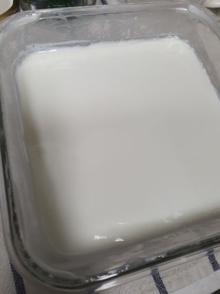 하나마이 [BEST 판매율 1위] 카스피해 유산균 종균_발효기가 필요없이 간편하게 만들어 먹는 요거트 생유산균 — 5점을 준 리뷰어가 2023년 2월 올린 사용 사진