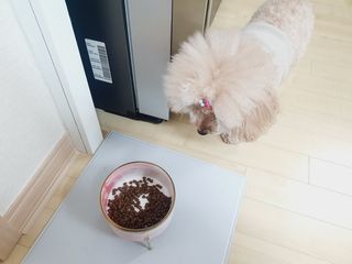 [풀무원아미오] 건강담은식단 1kg 3종 — 5점을 준 리뷰어가 2021년 2월 올린 사용 사진