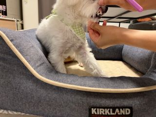 하리이님이 올린 리뷰 사진 3