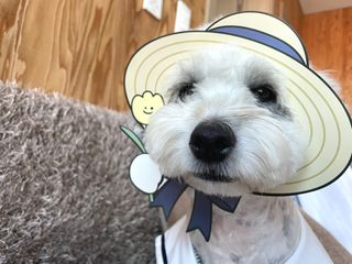로또누나님이 올린 리뷰 사진 4