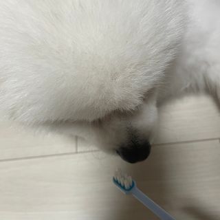 hj00님이 올린 리뷰 사진 4