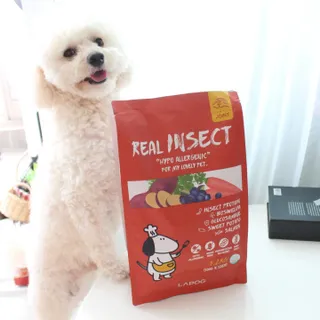 [푸디웜] 라포그  리얼인섹트 관절 저알러지 강아지 사료  1.2KG — 5점을 준 리뷰어가 2022년 8월 올린 사용 사진
