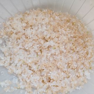 고림상점 풍부한 햇살과 바닷바람이 키우는 강화 교동 쌀 [백미1kg, 현미 1kg] 세트 — 5점을 준 리뷰어가 2021년 12월 올린 사용 사진