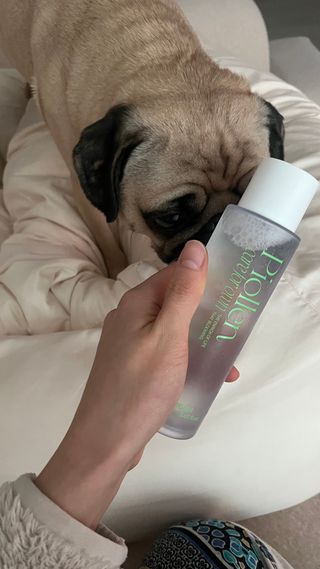 은때님이 올린 리뷰 사진 2