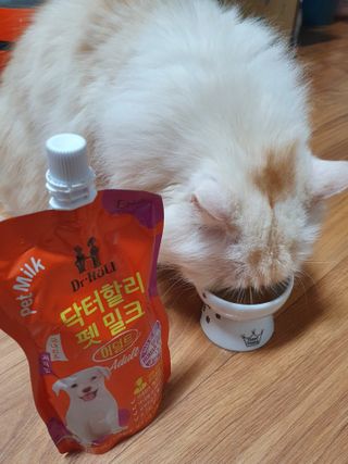 켈리심님이 올린 리뷰 사진 1