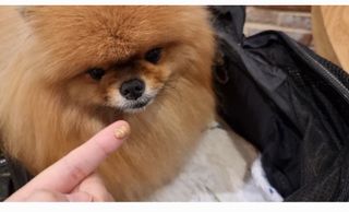 아롱이님이 올린 리뷰 사진 3