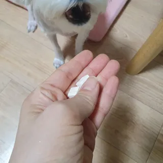 [펫시밀] 원물그대로 영양듬뿍 진공동결건조 북어트릿75g,치킨트릿100g,연어트릿75g 강아지 고양이 간식 — 5점을 준 리뷰어가 2023년 6월 올린 사용 사진