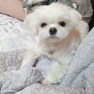[풀무원아미오] 건강담은식단 1kg 3종 — 5점을 준 리뷰어가 2021년 2월 올린 사용 사진