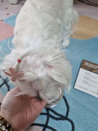 하람엄마님이 올린 리뷰 사진 3