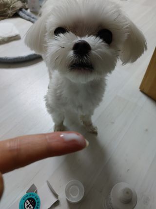 [갸스비] 명불허전, 남성을 위한 브랜드 갸스비의 올인원, 폼클렌징, 헤어오일 3종 — 5점을 준 리뷰어가 2021년 4월 올린 사용 사진