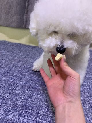 정토순님이 올린 리뷰 사진 3