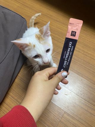 코코몰리 고양이 구강• 헤어볼 데일리 /신장• 요로 데일리 — 5점을 준 리뷰어가 2021년 1월 올린 사용 사진