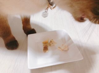 모닝스타님이 올린 리뷰 사진 3