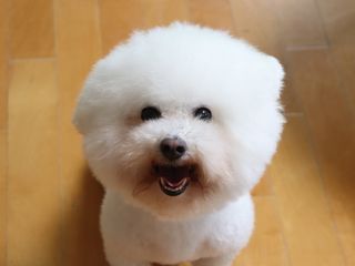 O리님이 올린 리뷰 사진 1