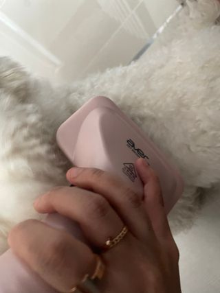 아베크 펫 강아지 고양이 애견 에어 브러쉬 드라이기 올인원 — 5점을 준 리뷰어가 2021년 7월 올린 사용 사진