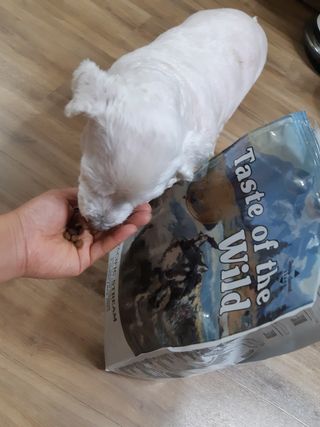 진진이님이 올린 리뷰 사진 3