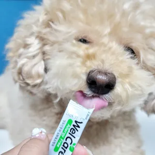 야토언니님이 올린 리뷰 사진 2