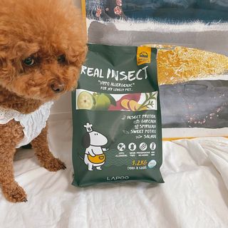 [푸디웜] 라포그  리얼인섹트 웨이트밸런스 저알러지 강아지 사료  1.2KG — 4.5점을 준 리뷰어가 2021년 7월 올린 사용 사진