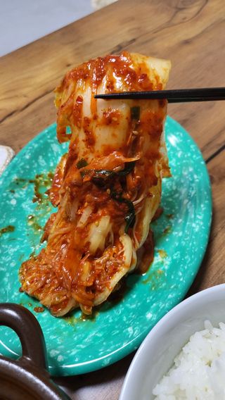 셰프애찬 알배기 겉절이 김치 1kg — 5점을 준 리뷰어가 2022년 11월 올린 사용 사진