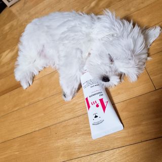 베리나이스님이 올린 리뷰 사진 2