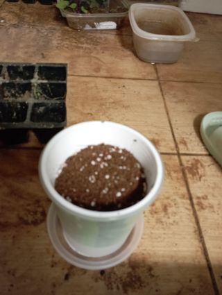 엄마3님이 올린 리뷰 사진 4
