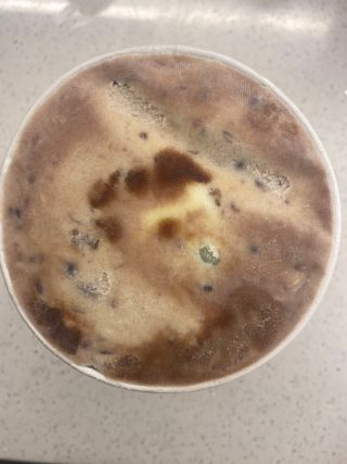 한지님이 올린 리뷰 사진 3