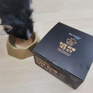 [세싹보울] 세균 싹~ 사라지는 셀앤핏 펫 항균동 애견식기 — 5점을 준 리뷰어가 2021년 6월 올린 사용 사진