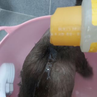 복도리님이 올린 리뷰 사진 4