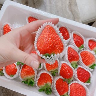 옳음 딸기 논산 설향 딸기 900g 산지직송 — 5점을 준 리뷰어가 2021년 1월 올린 사용 사진