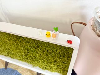 suu님이 올린 리뷰 사진 2