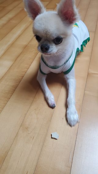 티나님이 올린 리뷰 사진 3