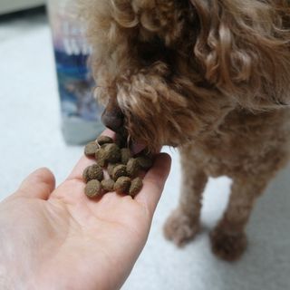 복깨비님이 올린 리뷰 사진 2