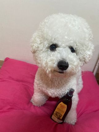 예봉봉봉님이 올린 리뷰 사진 3