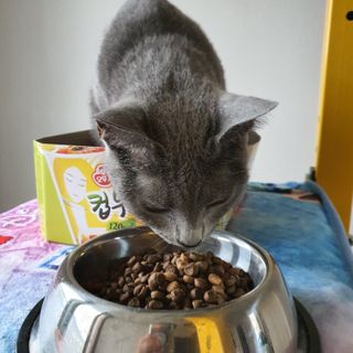 woo_maa님이 올린 리뷰 사진 2