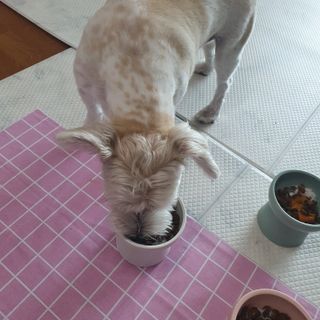 포비맘님이 올린 리뷰 사진 4