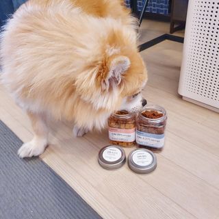 페페로니 진짜 오메가3 연어+소고기 180g+180g — 5점을 준 리뷰어가 2021년 7월 올린 사용 사진