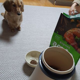 이륜의님이 올린 리뷰 사진 1