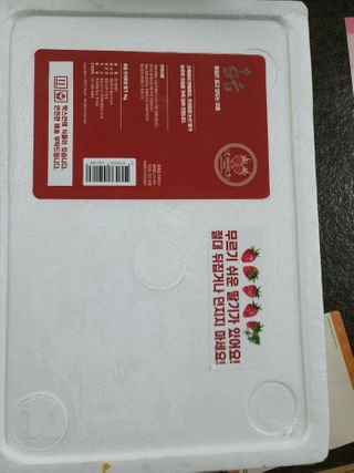 옳음 딸기 논산 설향 딸기 900g 산지직송 — 5점을 준 리뷰어가 2021년 1월 올린 사용 사진
