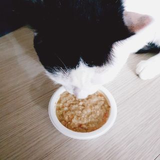 JENNY님이 올린 리뷰 사진 2