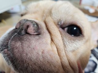 홍블리님이 올린 리뷰 사진 4