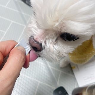 삐약삐삐약님이 올린 리뷰 사진 2