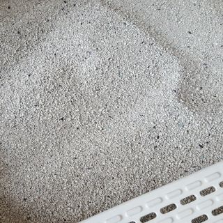 겟플렉스 켓플렉스 캣츠룸BS-1 고양이모래 4kg — 5점을 준 리뷰어가 2021년 1월 올린 사용 사진