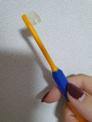 Pethroom 페스룸 PETHROOM DENTAL CARE SET 페스룸 덴탈 케어 세트 / 덴탈 클린 칫솔 + 덴탈 클린 치약 — 5점을 준 리뷰어가 2021년 1월 올린 사용 사진