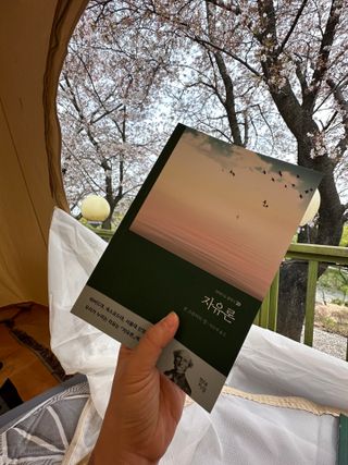 Bella님이 올린 리뷰 사진 2