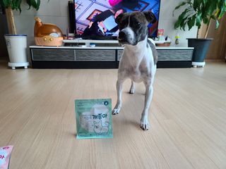 My Pet Care 천연단백질 눈건강에 개좋아 — 5점을 준 리뷰어가 2021년 3월 올린 사용 사진