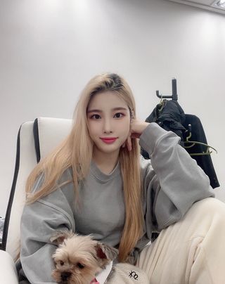MAPLESYRUPFACTORY 메이플 피그먼트 맨투맨 8.COL — 3점을 준 리뷰어가 2022년 12월 올린 사용 사진