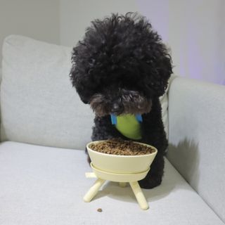 미즈일기님이 올린 리뷰 사진 4