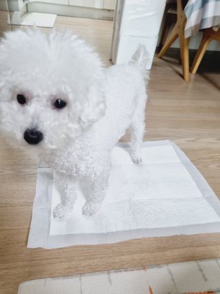 아공별이님이 올린 리뷰 사진 4